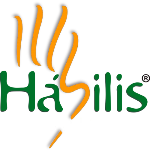 Hábilis Consultoria